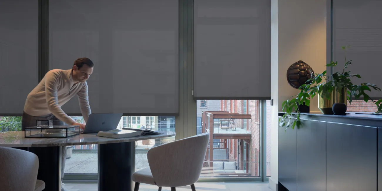 EVE MOTIONBLINDS Darwin 0500 2 verkleind